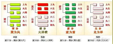 巽上巽下|易经57卦：巽卦详解